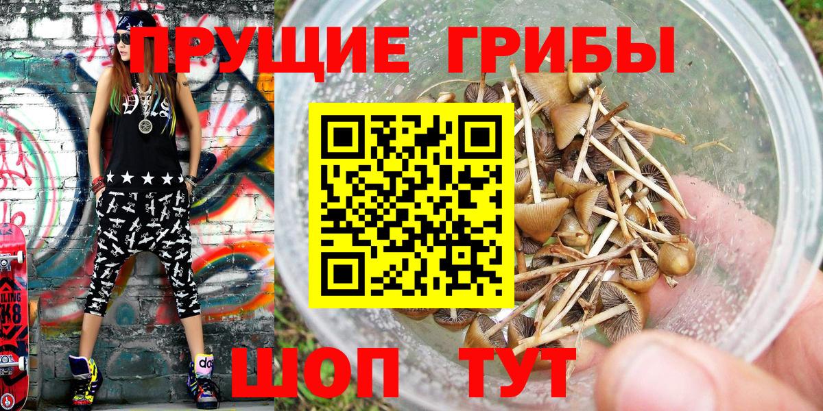 Галлюциногенные грибы MAGIC MUSHROOMS  Вход с VPN  как найти   Новоалександровск 